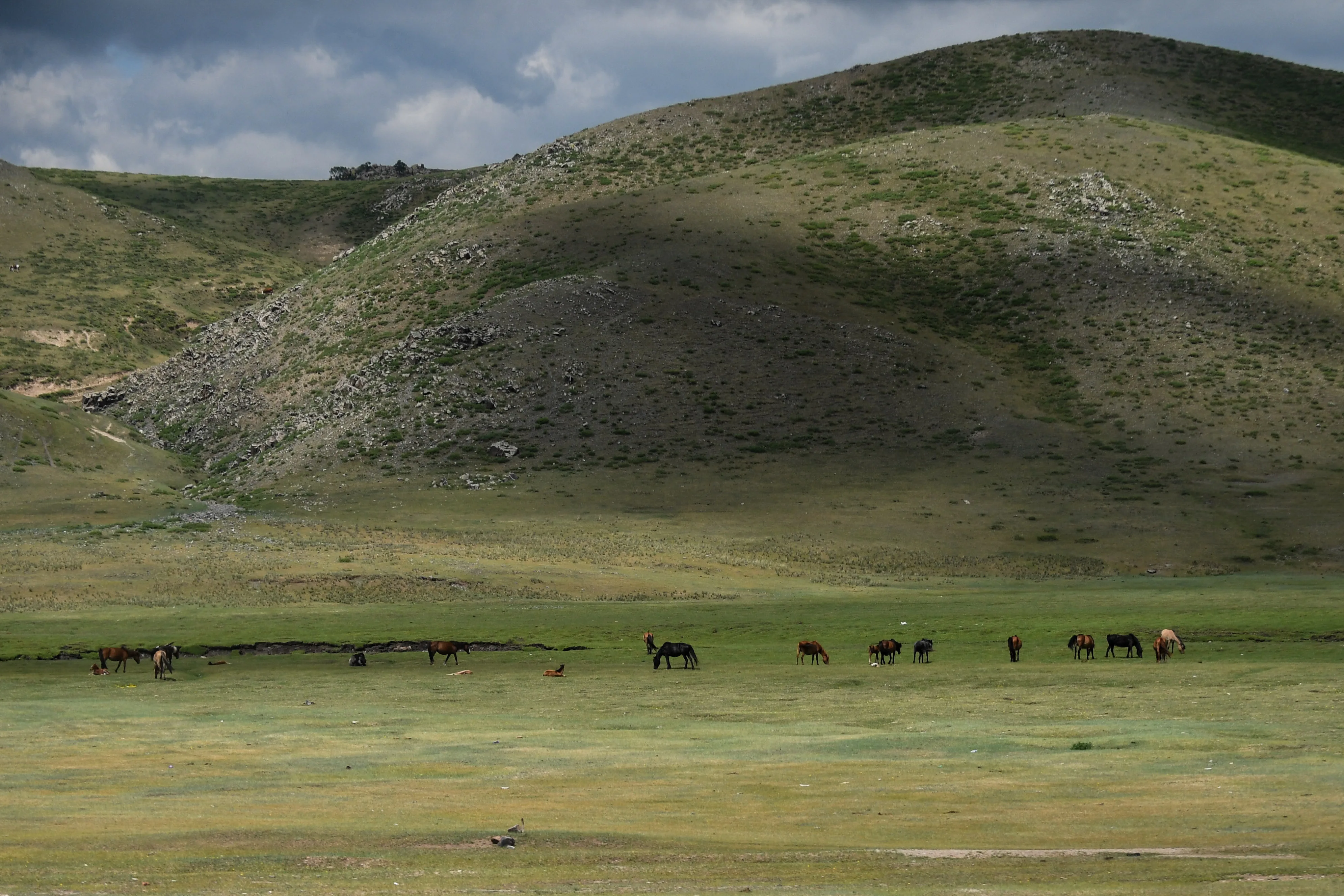 

2.2" Metal Beadlock Wheel Rim 12-Spokes for RC Crawler Car Traxxas TRX4 TRX6 Axial SCX10 90046 RR10 Wraith