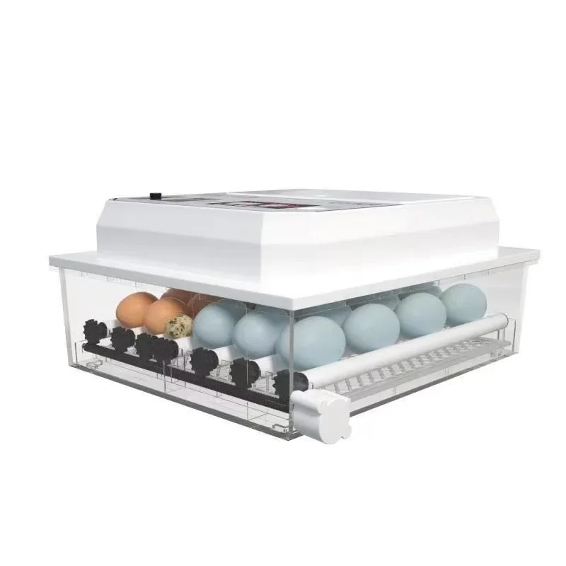 98 64eggs, pet egg incubator 110V-240V Chinese and English automatic household, automatic water addition, single electricity