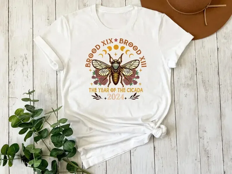 Cicada Shirt 2024 Cicada Reunion Tee Funny Cicada Concert T-shirt H170505