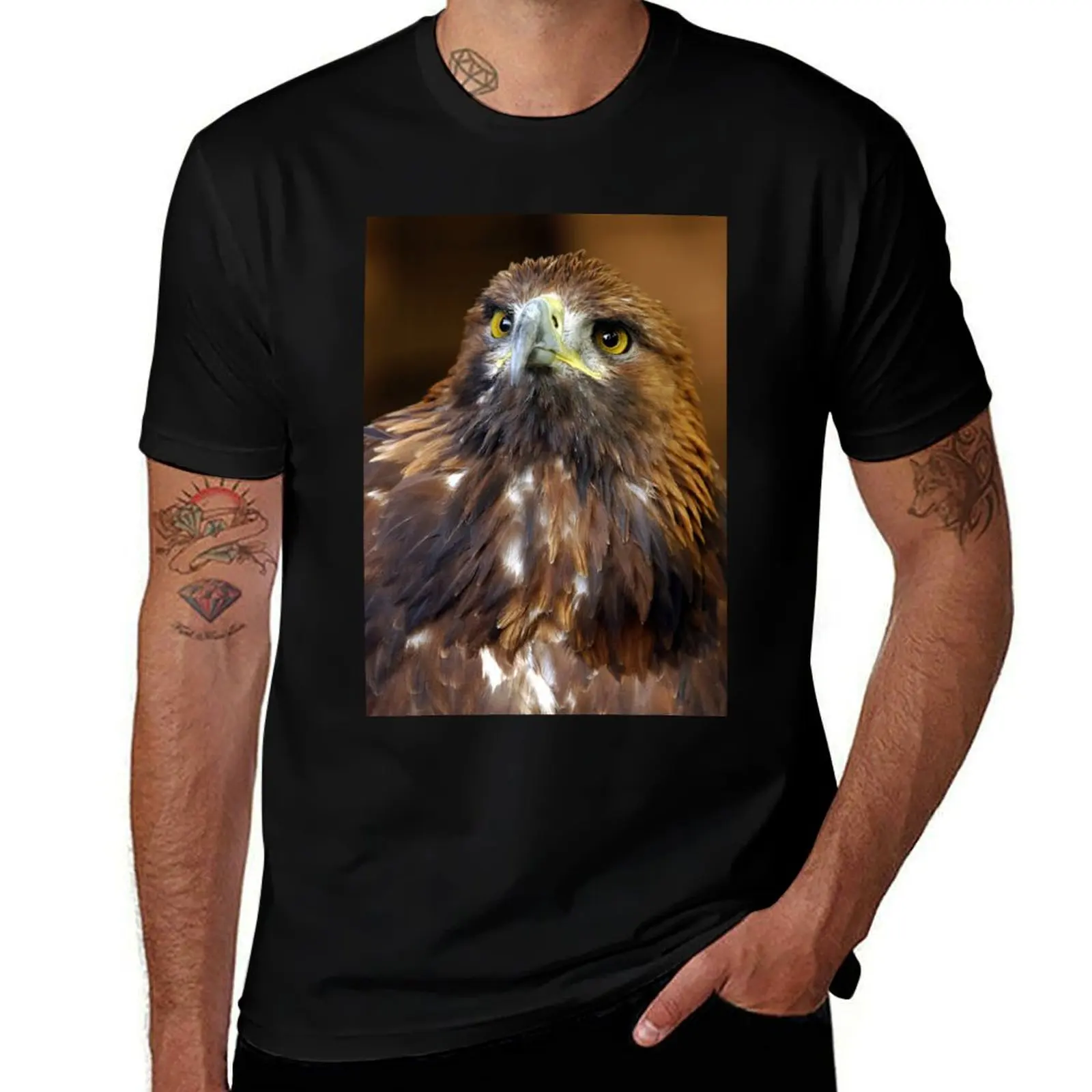 

- t Golden casual for T-Shirt Eagle cotton t shirts funny T-Shirt man man man shirts chrysaetos) t shirt (Aquila