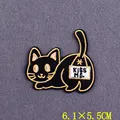PE6936CT