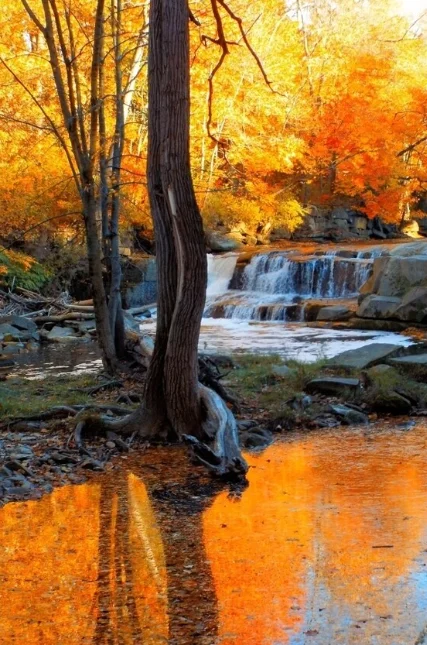 هوائي FOXEER Pagoda Pro 5,8 جيجا هرتز FPV SMA/ RP-SMA UFL MMCX Stecker Niedriger موجة قائمة لطائرة سباق بدون طيار RC FPV كوادكوبتر #1