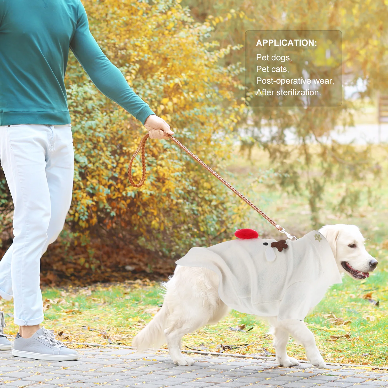 

Pet Costumes Winter Accessories Christmas Sweaters Dog Apparel Large