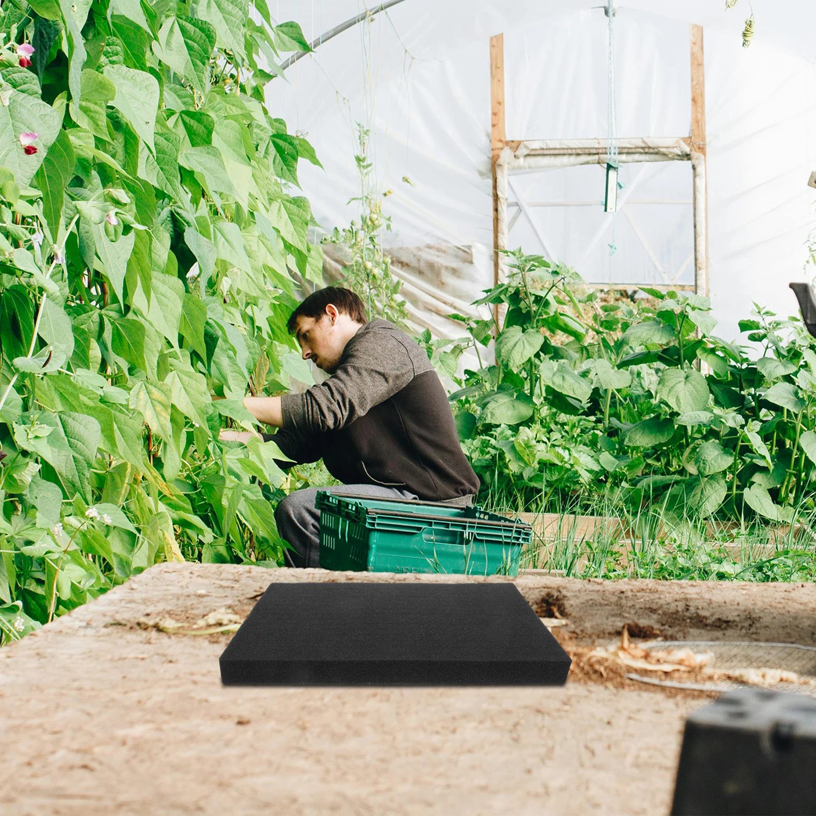 

2 Pcs Hydroponic Vegetable Equipment Soilless Cultivation Sponge Gardening Tool Balcony Seedling Medium