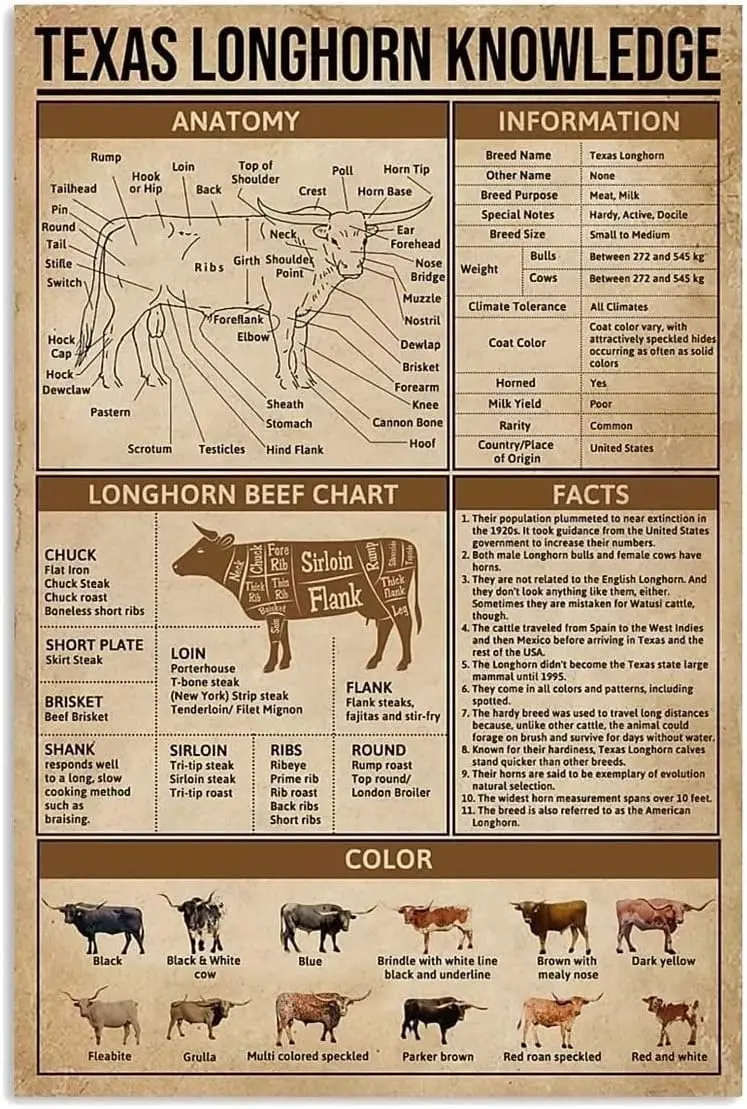 Haosensix Texas Longhorn Knowledge Plaque Métallique, Affiche Vintage Illustrant le Bœuf Longhorn, Peinture Décorative pour Maison, Cuisine, Bar, Magasin, Café, Mur