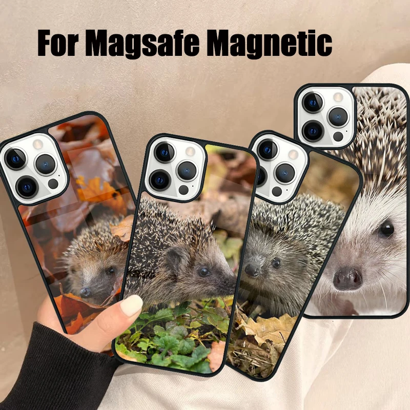 Animal cute hedgehog Magsafe Phone Case For iPhone 16 15 14 13 12 11 Pro Max Plus Mini Mirror Wireless Magnetic Cover