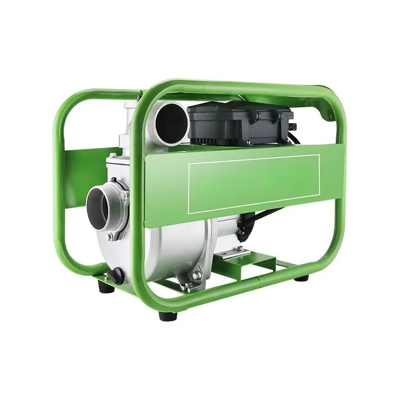 Large Flow Solar Water Pump Monocrystalline Silicon Panel MPPT Controller Farmland Irrigation DC Motor Driven Land Pump JFY
