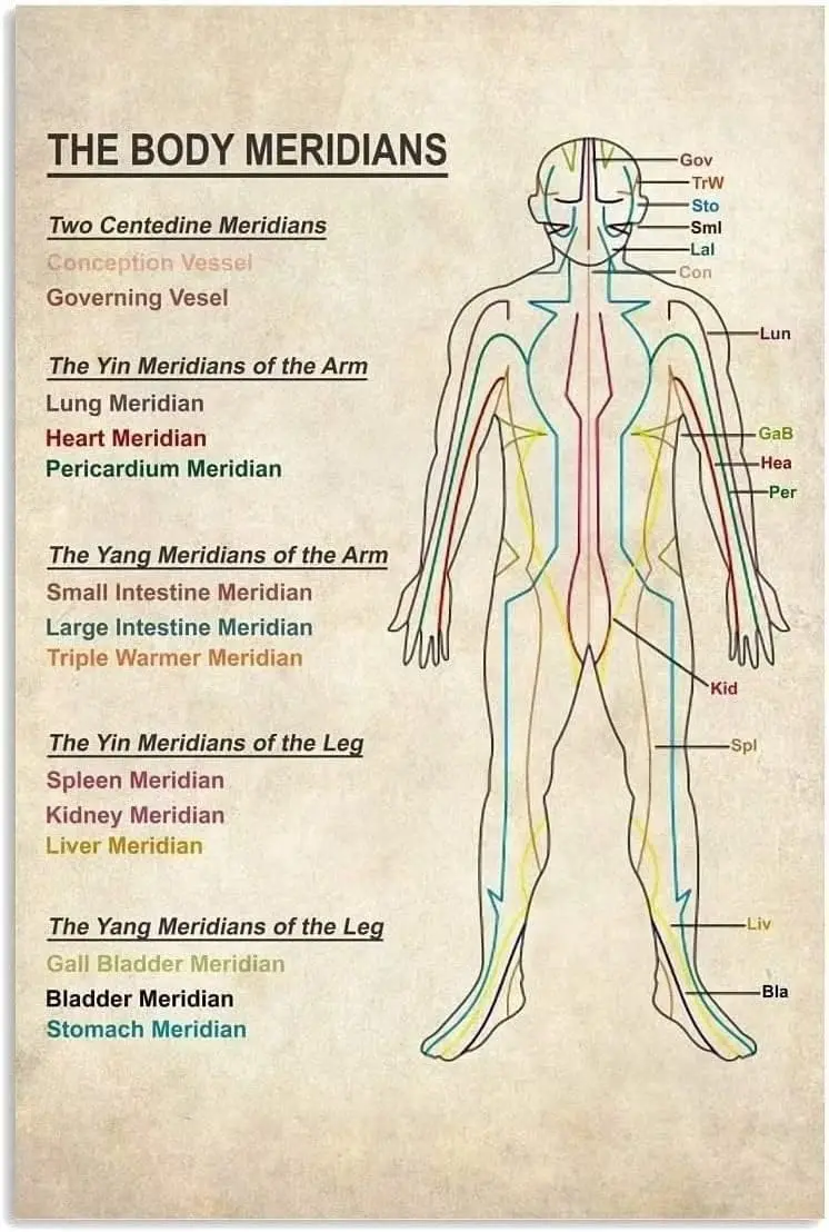 Vintage Metal Signs The Body Meridians Guide Tin Retro Poster Wall Art for Home Kitchen Office Club Bar Gym Decor Pla