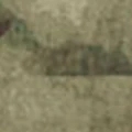 AFG