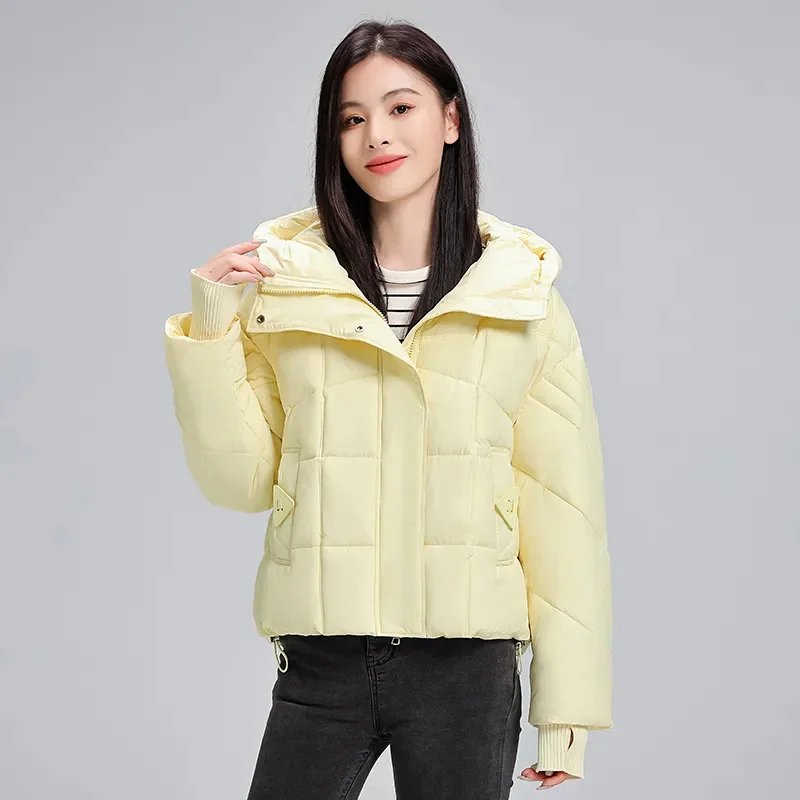 Winter New Down Cotton Women Jacket Parkas Casual Thicken Overcoat Zipper Warm Cotton Padded Coat Tops Korean Outerwears Female