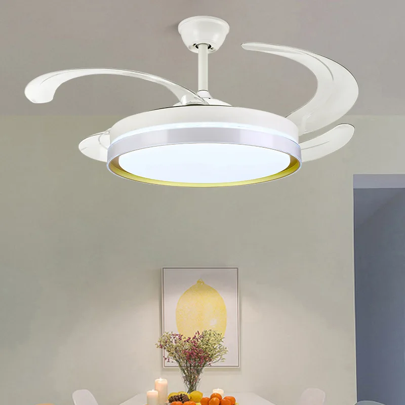 Fan Lamp Household Mute Dining-Room Lamp Living Room Bedroom Lamp Ceiling Fan Lights 48-Inch Variable Frequency