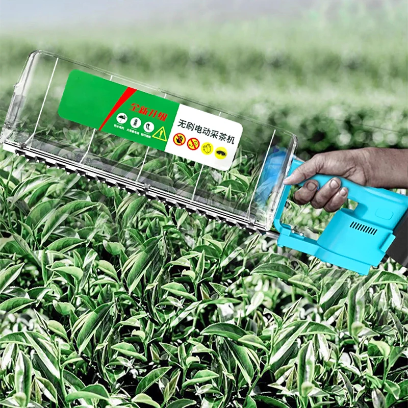ناتف الشاي الكهربائي، آلة قطف الشاي عالية الطاقة، حصادة برعم العطاء، آلة تشذيب شجرة الشاي، أداة قطف الشاي