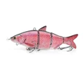 snapper