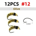 Olive size 12