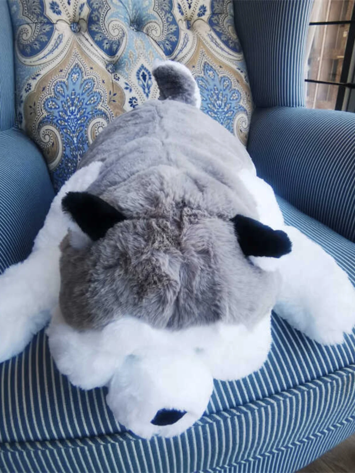 

Set Du Du Plu Toy Dolls Soft Cute Series Huskies And Pigs Lng down Positions iba Inu Plu Toys Gifts for All Ages