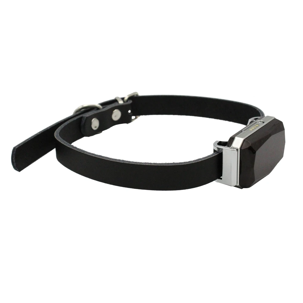 Smallest Gsm 2g Tracking Devices Dogs Long Standby Time Pet Smart Gps Tracker Mini Gps