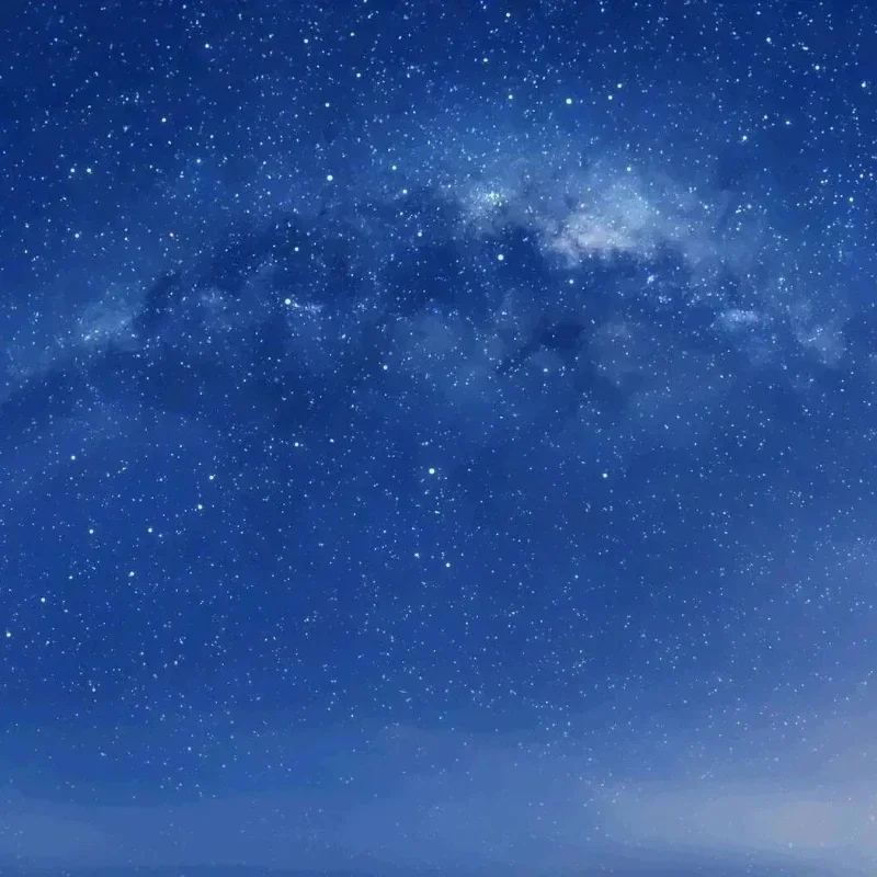 경매 운임, 우송료, 가격 차이를 구성하십시오.