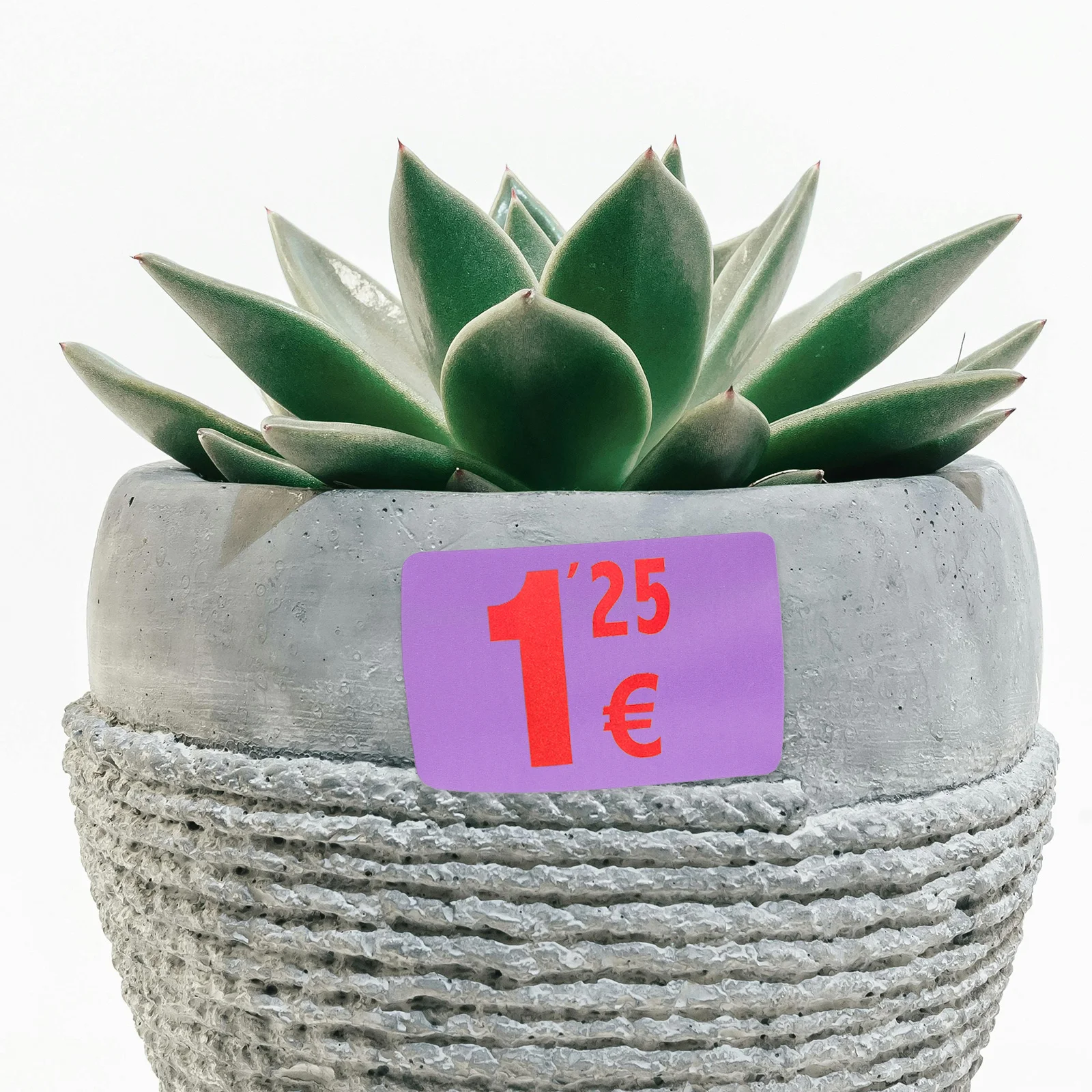 

800 Pieces Colorful Three-proof Thermal Labels 40x30mm Purple Matte Finish Clear Print Lightweight Compact Storage Address Price