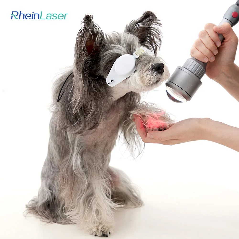 Smart 810nm 980nm Class 4 10-30W laser Therapy Physiotherapy Rehabilitation Equipment For Veterinary Injuries