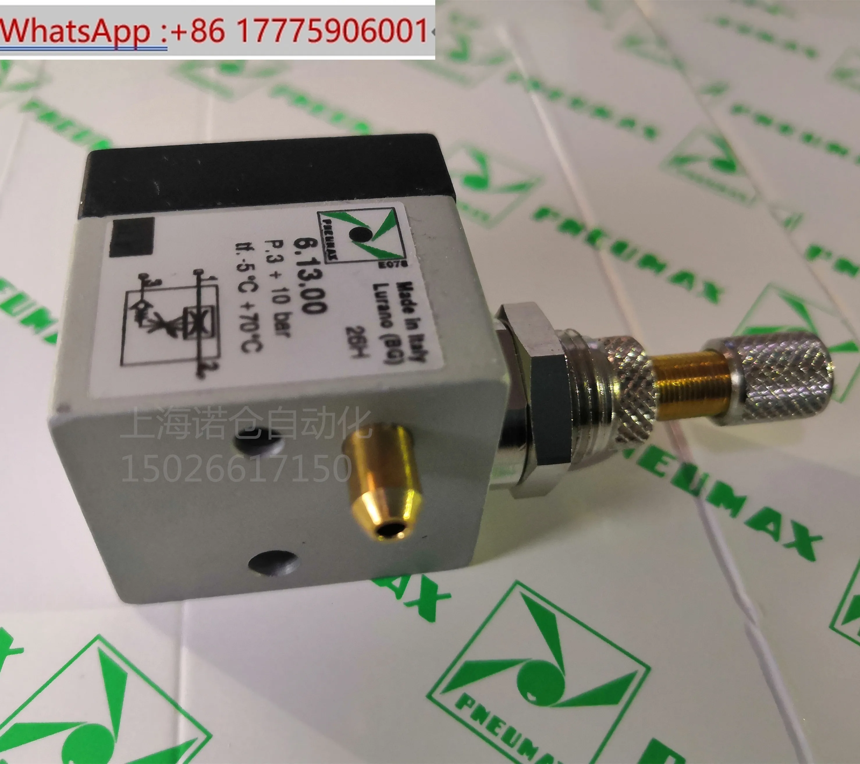 

6.13.00 6.13.00 PNEUMAX spray valve fly screen saw, spray assembly