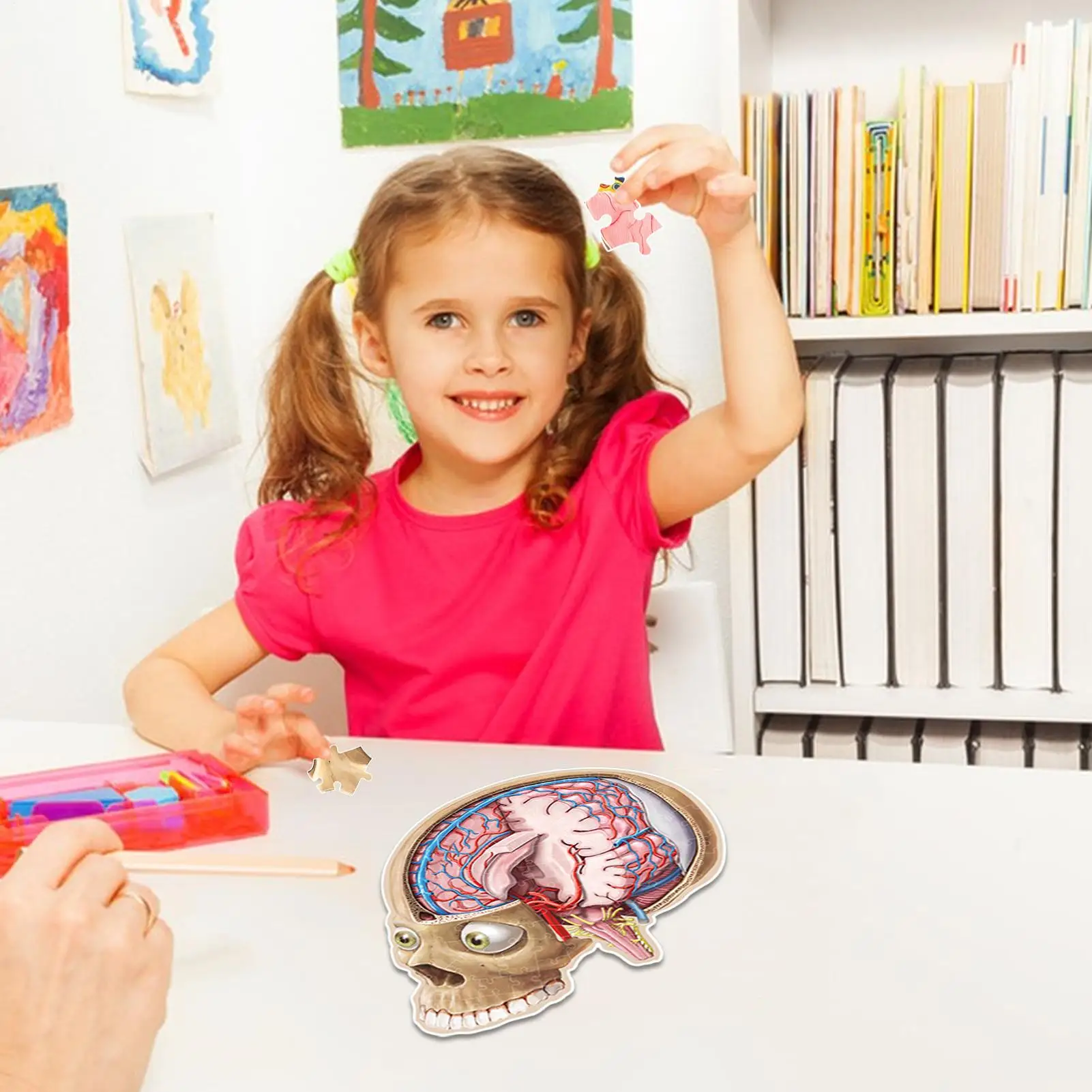 100 peças quebra-cabeças de cérebro humano inclinado modelo de anatomia do cérebro humano brinquedos educativos jogos científicos para adolescentes meninos meninas