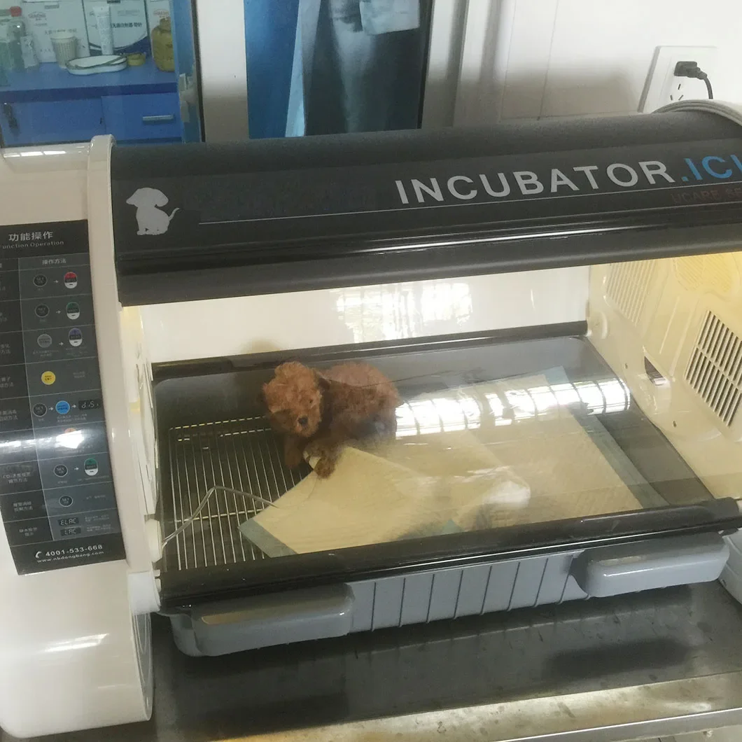 

Factory Price Medical Hospital Vet Clinic Equipment Animal Brooder Dog Cat Rabbit Incubator Portable ic u Newborn Pet Incubator