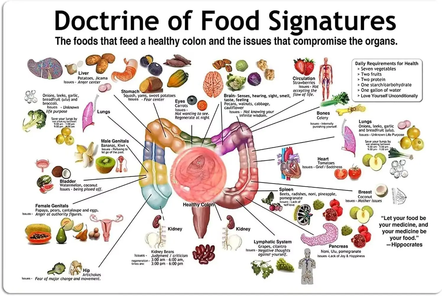 Panneaux métalliques décoratifs « Doctrine des Signatures Alimentaires », affiches éducatives sur la santé du côlon, guides de référence pour nutritionnistes, plaques vintage