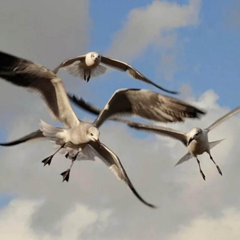 

4 шт., 12 мм, шестигранная 1/18, радиоуправляемая автомобильная шина для ARRMA TYPHON GROM GRANITE GROM, обновленные детали, аксессуары