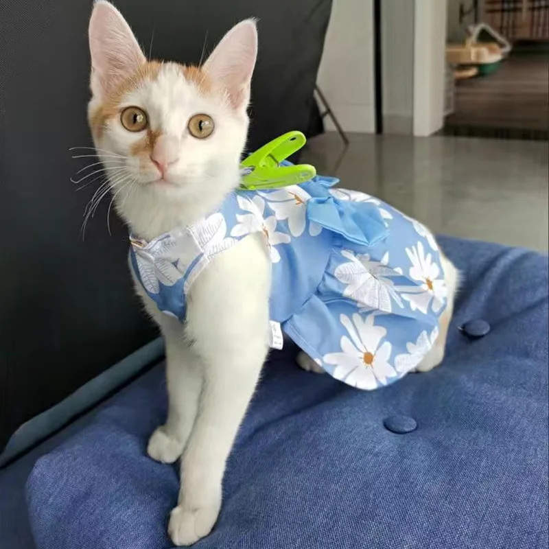 Summer Thin Sphynx Cat Skirt Dress Cute Print Pet Clothes for Cats Gotas Garfield Katten Kleding Suit Vestidos mascota sukienki