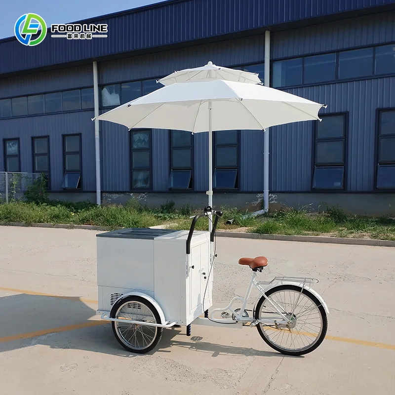 Customized Outdoor Electric Ice Cream Bike with Large Storage Space Mobile Freezer Tricycle Food Delivery Cart for Sale