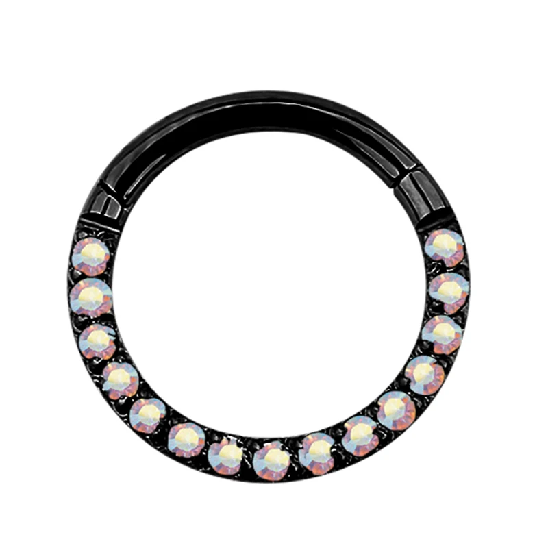G23 Titanium Hinged Segment Hoop Nose Ring Earring