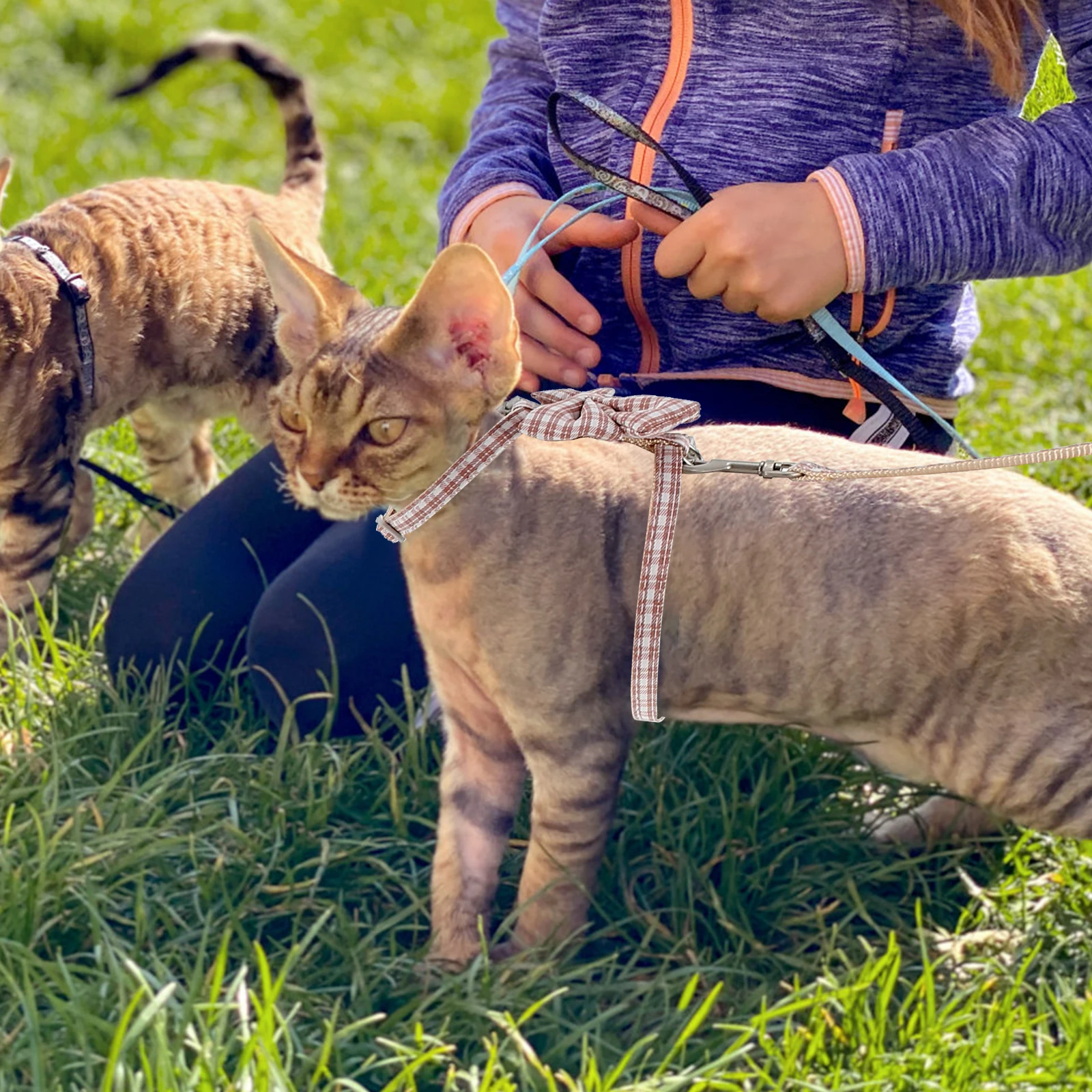 

Adjustable Traction Rope Leash Outdoor Walking Harness Harness Vest for Cats Durable Outdoor Walking Long Size Practical