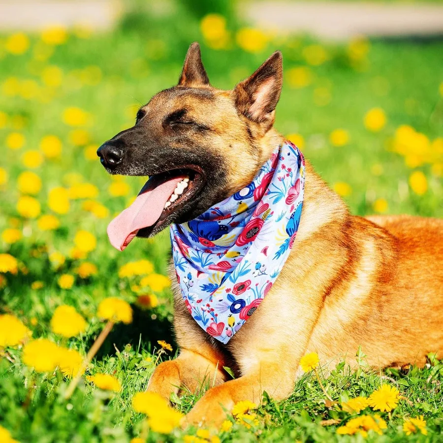 8 قطعة الكلب الأزهار باندا الربيع زهرة الحيوانات الأليفة Trile مريلة وشاح ديزي روز الحيوانات الأليفة باندا مناسبة لمعظم الكلاب والقط نمط لطيف