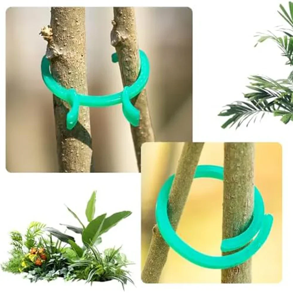 100pcs Plant Support Clips Reusable Plant Clips For Climbing Plants Home Gardening Tying Branch Retaining Gadget