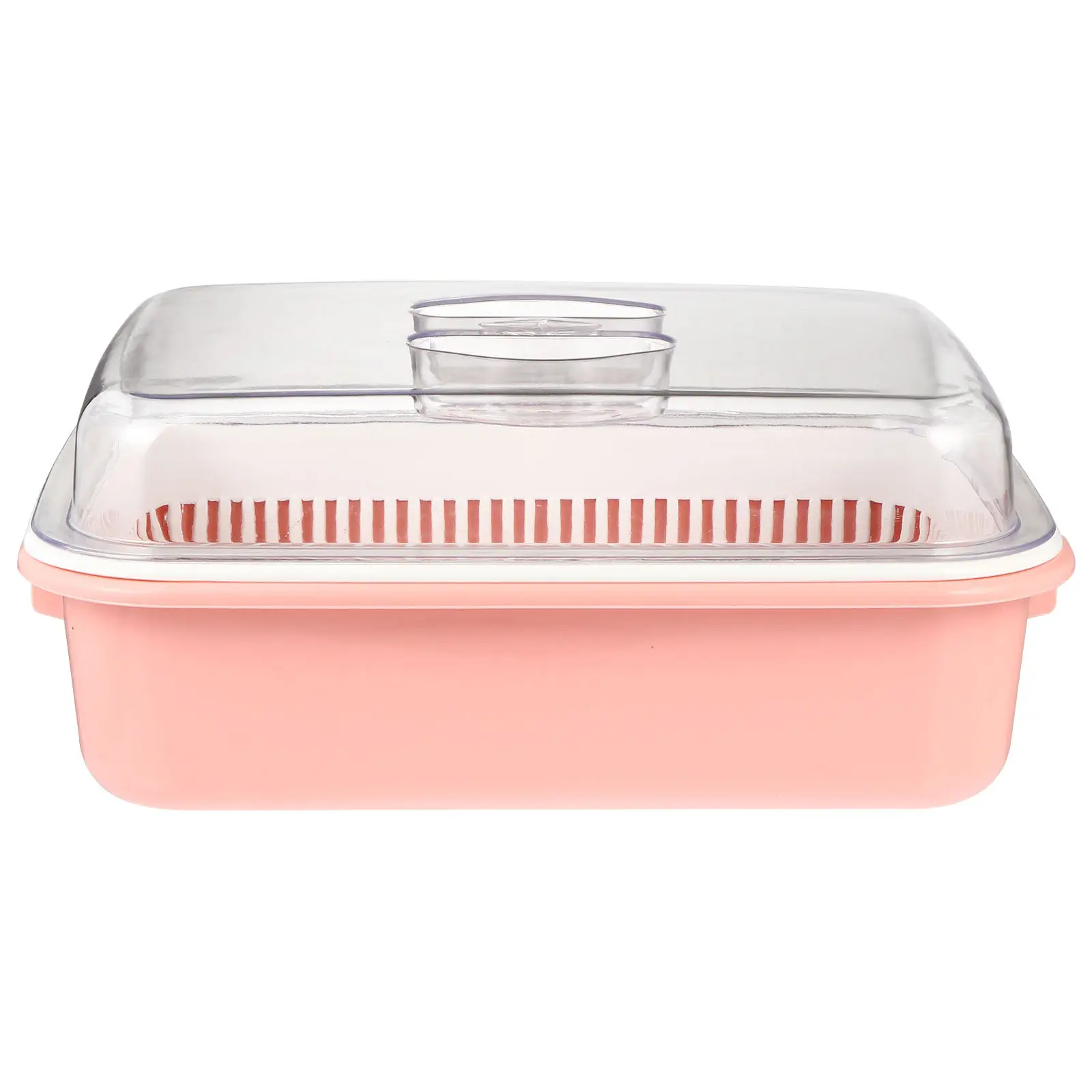 Dish Drying Rack with Lid Kitchen Cutlery Organizer Drain Basket Design Eco Friendly PP Material for Baby Bottles Pacifiers