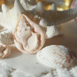 Timbre de sceau de feu Whelk, tête en cuivre, forme spéciale, multicouche, instituts 3D avertissent, tête en laiton sculpté, jouet de sceau d'enveloppe