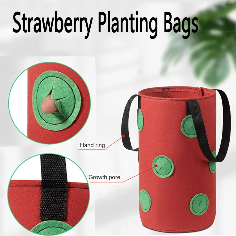 3 Gallon Tomato Growth Bag Breathable 12 Holes Garden Upside Down Planter Non-woven Fabric with Handle Strawberry Planting Bags