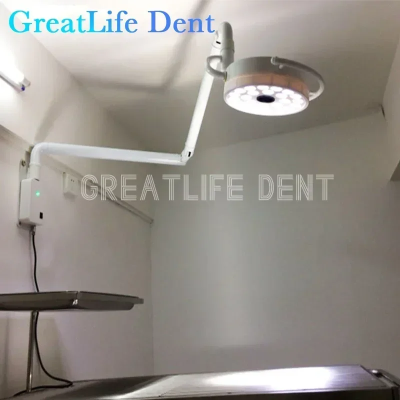 GreatLife Dental naścienna lampa 24 diody led światło ustne do operacji kliniki stomatologicznej bezcieniowa chirurgiczna lampa Led z czujnikiem