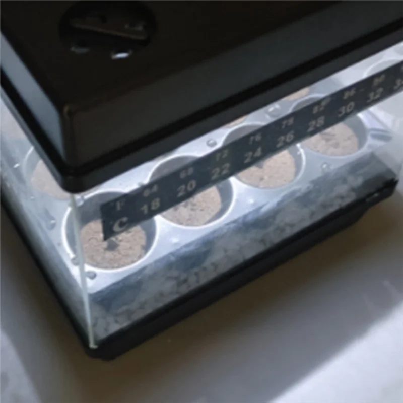 GYTB-Luce per la crescita delle piante, vassoi per piantine a LED, serre, kit di germinazione