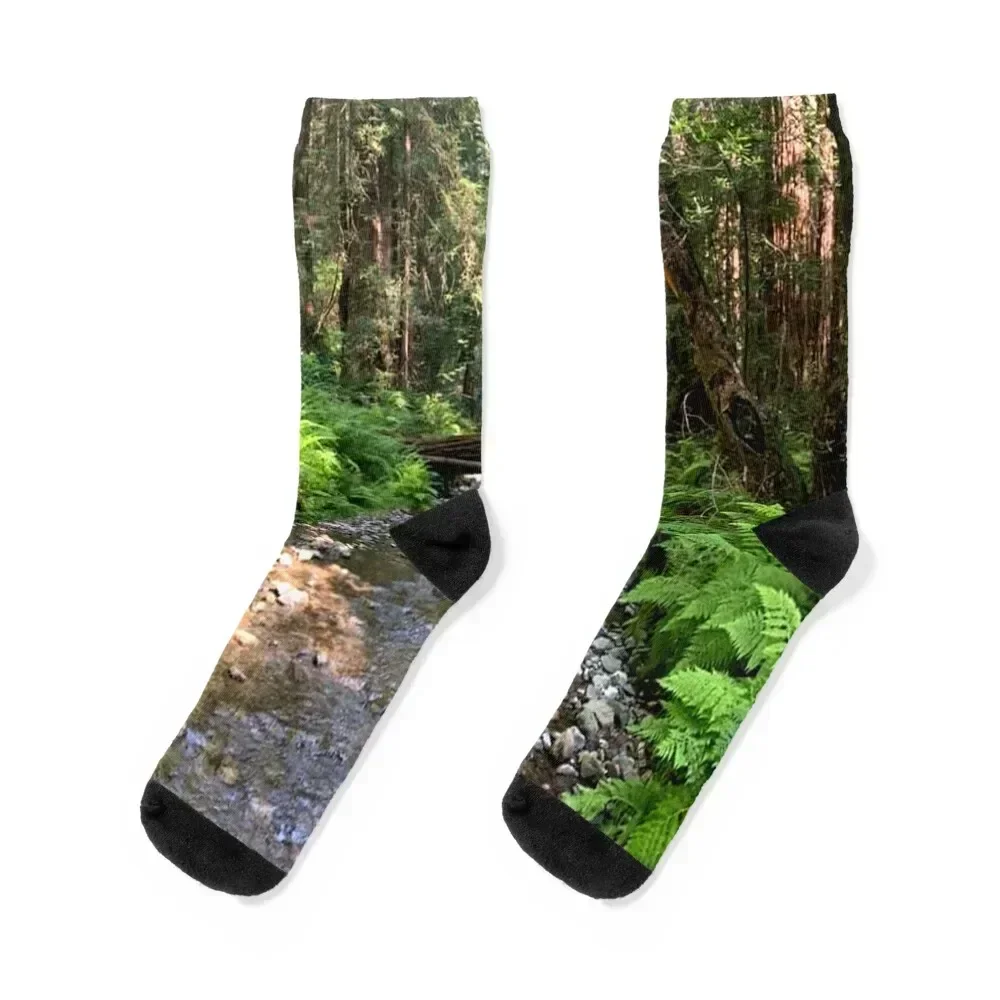 

California Muir Woods Socks with print colored sport custom sports Socks Men Women's