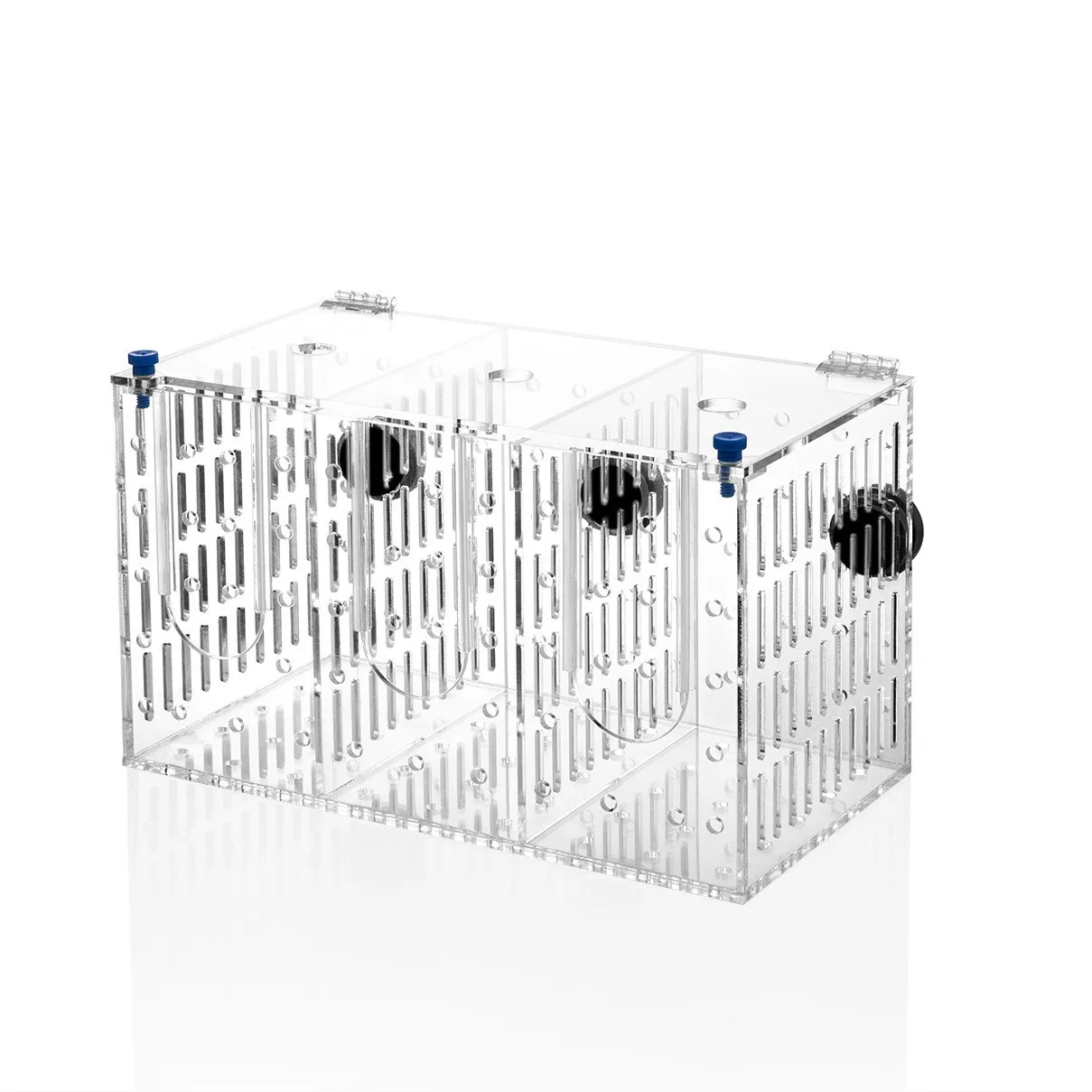 

Marine Sources Magnetic Isolation Box for Shrimp&Small Fish-3-Section Mini Breeder with Front Door/Top Access,Acrylic Multi-Use