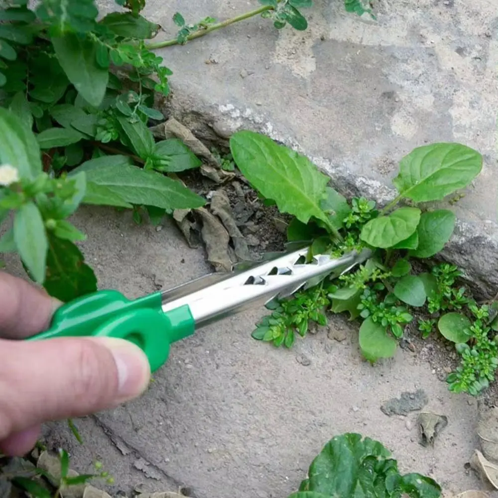 Stainless Steel Gardening Tweezers Multifunctional Precision Aligned Tip Succulent Transplant Clip Solid Stainless Steel