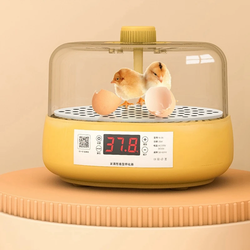 

Mini Bird Incubator Automatic Home Incubator Automatic Incubator Electric Children's Chicken Bird, 6 Eggs,EU Plug Easy Install