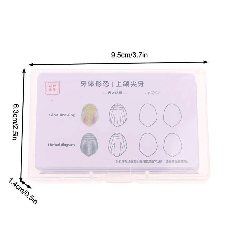 Dental Composite Filling Practice Board Model Teeth Template Restoration Cavity Dentist Anterior Posterior Practise Resin Stack