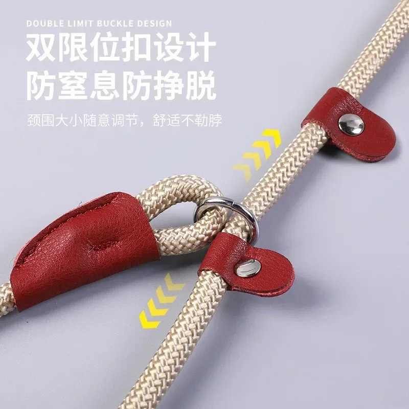 Anti-Pull Dog P Rope Slip Lead, Integrated Thickened Pet Walking Leash, Training P-Leash for Large Dogs, Wholesale Pet Supplies