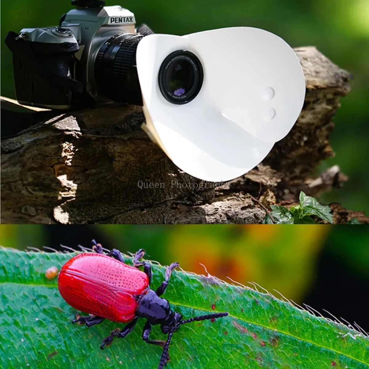 Macro Photography Reflector Cover Eliminate Shadow Fill Light Board 43mm 46mm 49mm 52mm 62mm For Insects Pearl Jewel Shooting