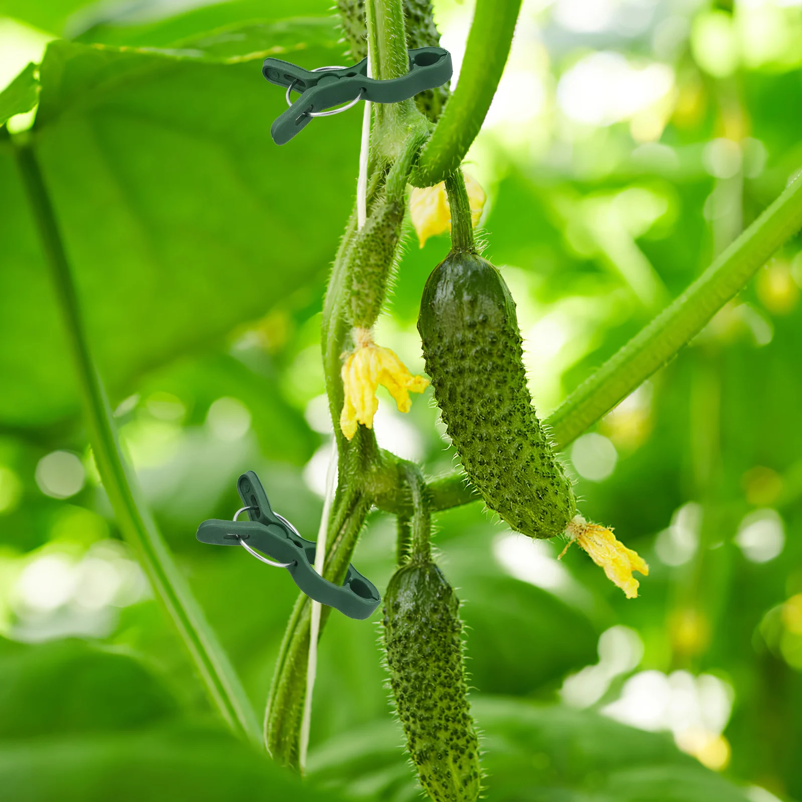 

50pcs Plant Stem Support Clips Durable Garden Plant Clips For Tomato Orchid Flower Vine Supports Garden Supplies