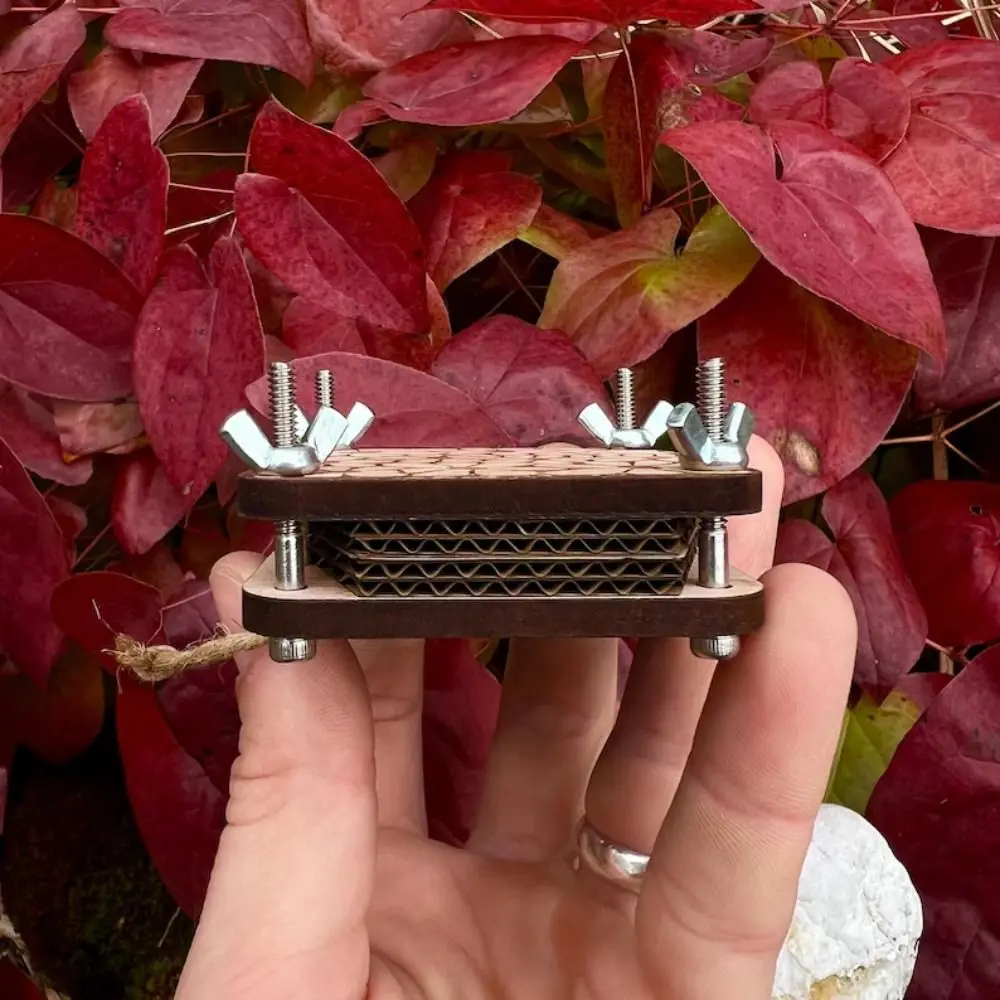 Wooden Pocket Flower Press Creative DIY Plant Specimen Press Multi-style Bag Pendant Specimen Embossing Device Plant Lover Gift