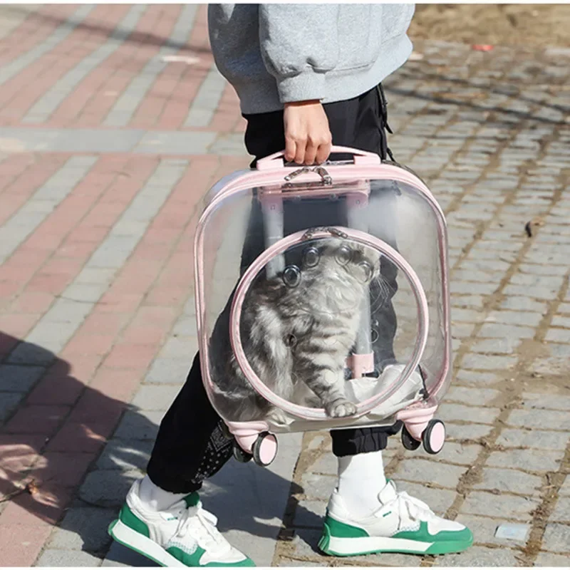 

Transparent Pet Trolley Case Fashionable Breathable Cat Carriers Comfortable Shoulder Bag Large Capacity Aviation Box for Pets