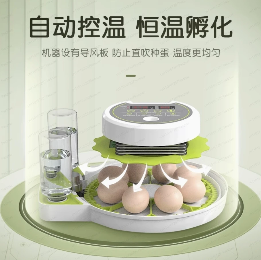 Small Household Fully Automatic Intelligent Incubator | Flying Saucer Design for Parrot, Pigeon & Bird Eggs view 4